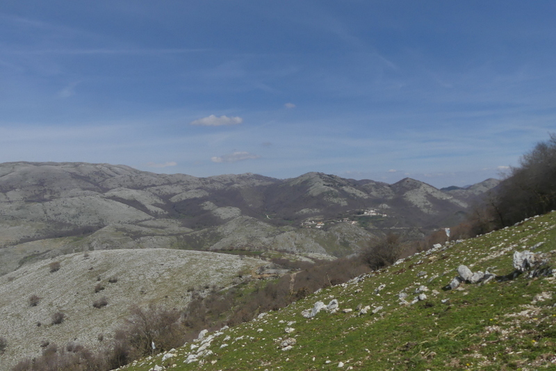 Dactylorhiza romana e prime fioriture tra Lazio e Campania - marzo 2023.